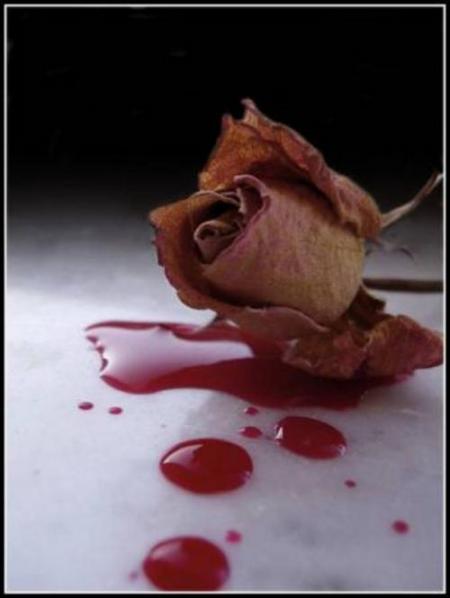 pour toi